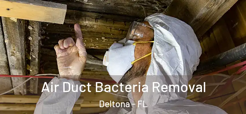 Air Duct Bacteria Removal Deltona - FL