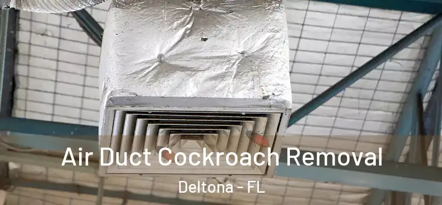 Air Duct Cockroach Removal Deltona - FL
