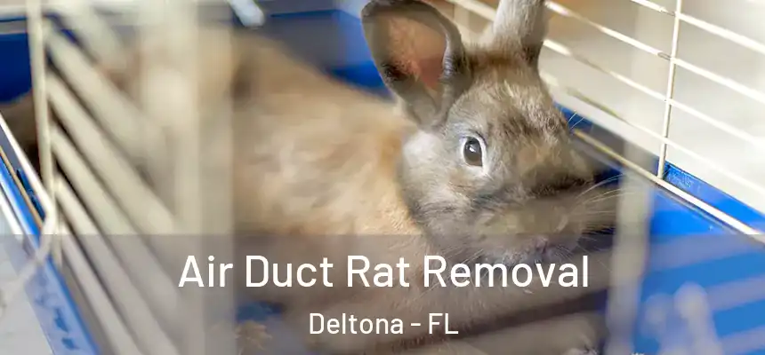Air Duct Rat Removal Deltona - FL