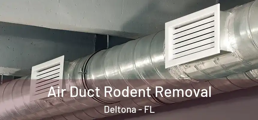 Air Duct Rodent Removal Deltona - FL
