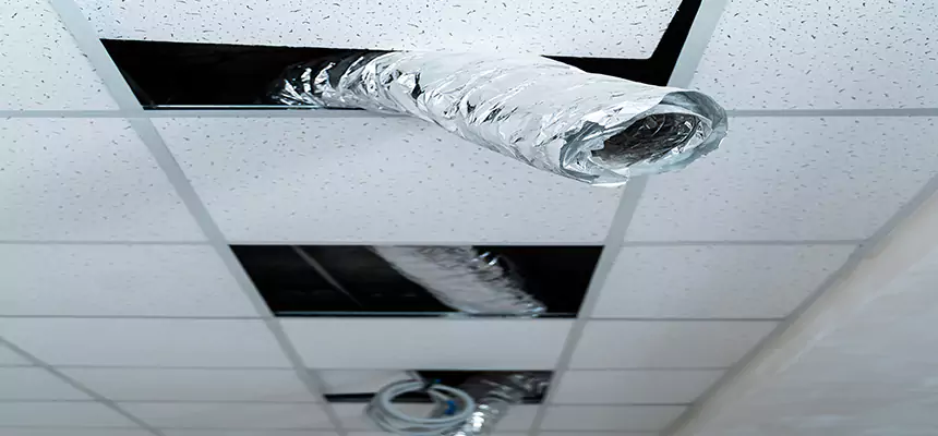 Affordable HVAC Sanitizing After Pest Removal in Deltona