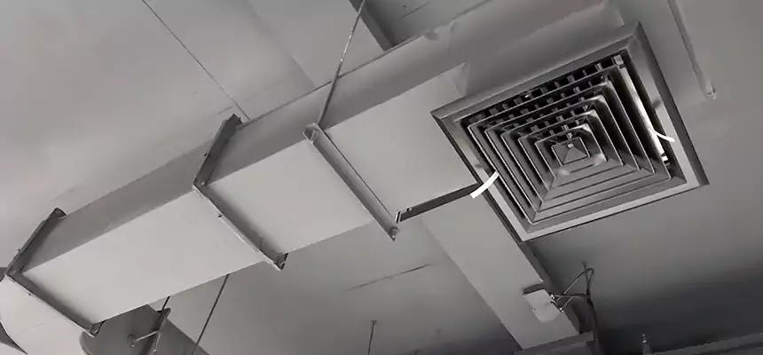 Restorative Allergy Relief Vent Cleaning – Coil, Blower & Housing Detail in Deltona