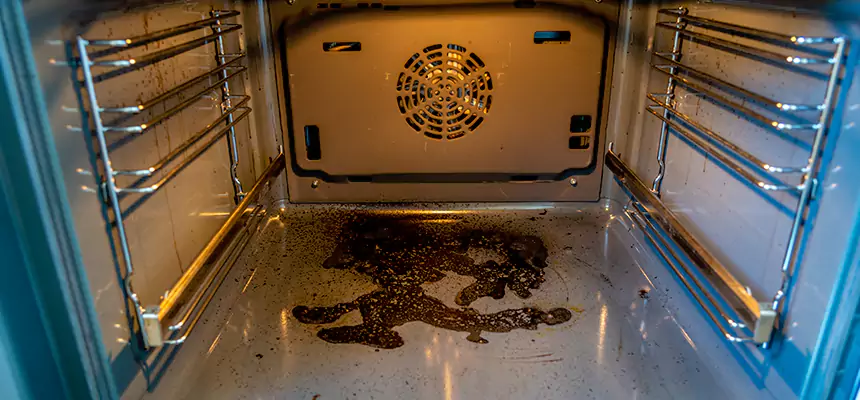 Our Dryer Vent Mold Cleaning Services in Deltona, FL