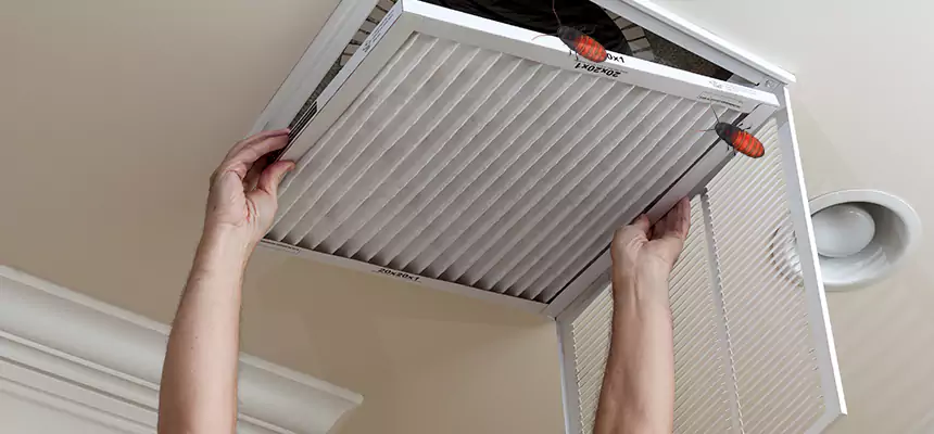 Our Insect Removal from Air Ducts Services in Deltona, FL