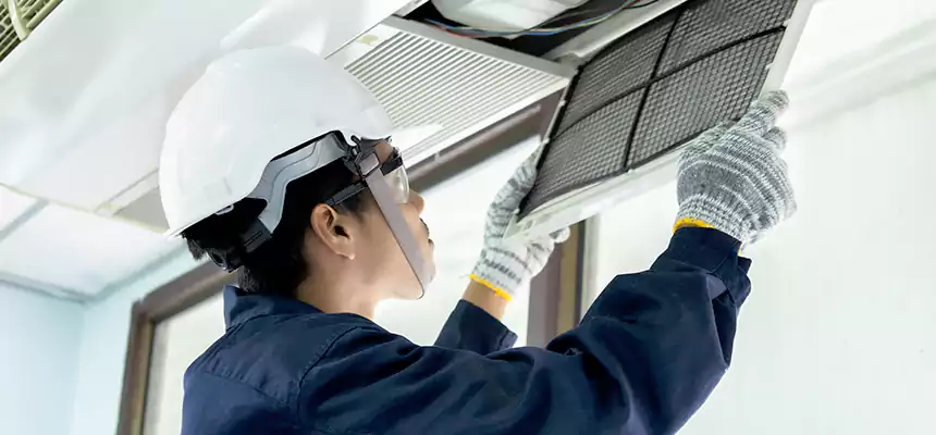 Our Mold & Mildew Removal from Air Ducts Services in Deltona, FL