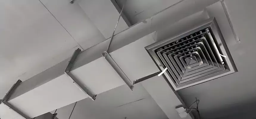 Our Rodent Droppings In Vents Services in Deltona, FL