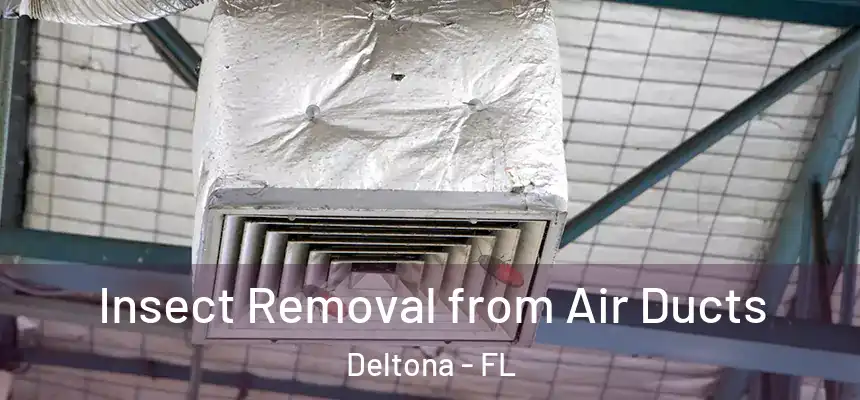 Insect Removal from Air Ducts Deltona - FL