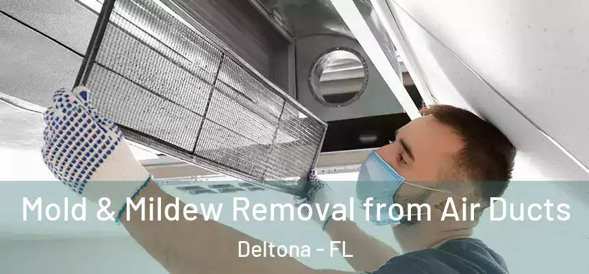 Mold & Mildew Removal from Air Ducts Deltona - FL