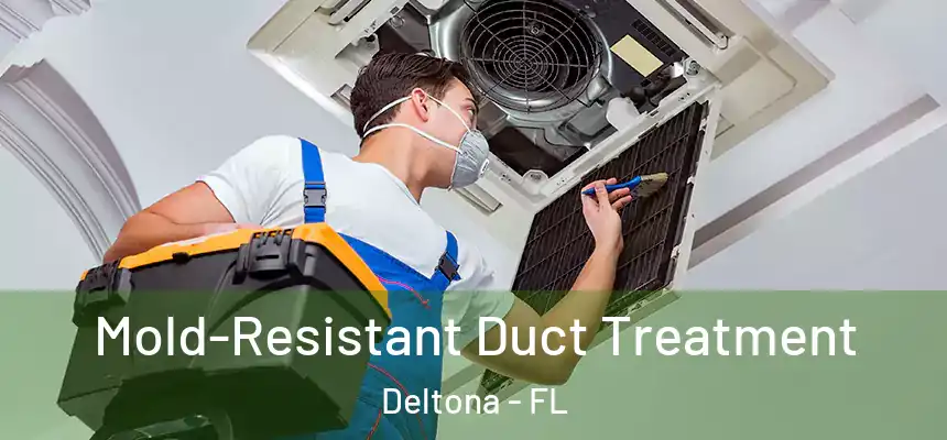 Mold-Resistant Duct Treatment Deltona - FL