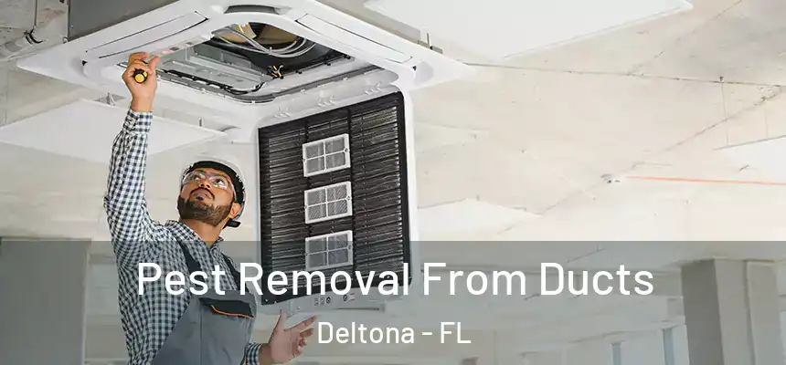 Pest Removal From Ducts Deltona - FL