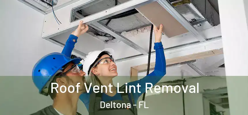 Roof Vent Lint Removal Deltona - FL