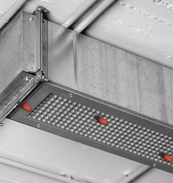 About Air Duct Cockroach Removal in Deltona, FL