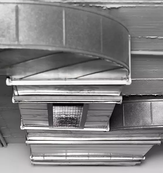 Professional Air Duct Pest Removal in Deltona, FL