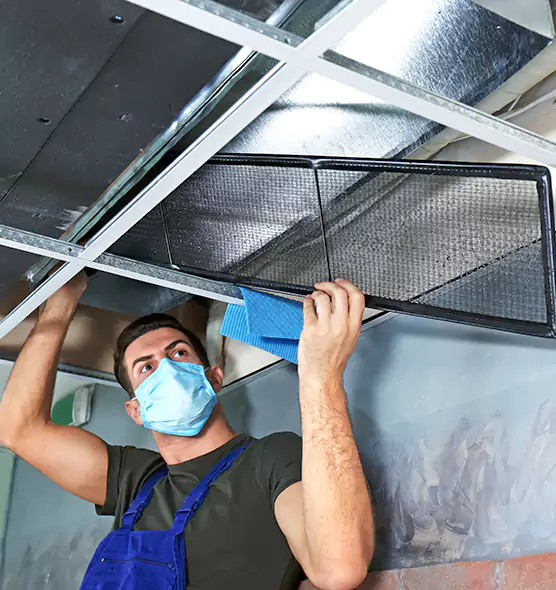 Professional Air Duct Pollen Cleaning in Deltona, FL