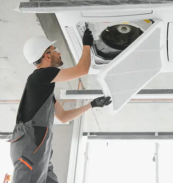 About Air Duct Rodent Removal in Deltona, FL