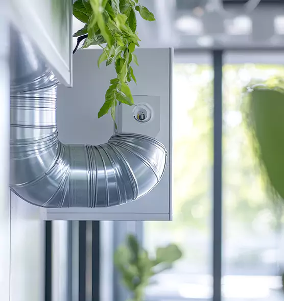 Professional Eco-Safe Dryer Vent Cleaning in Deltona, FL