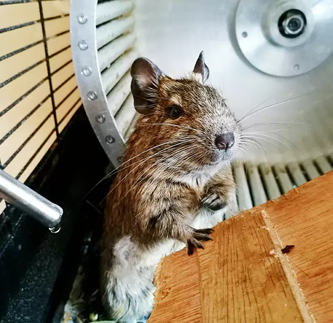 Why Homeowners & Businesses Trust Us Deltona, FL?