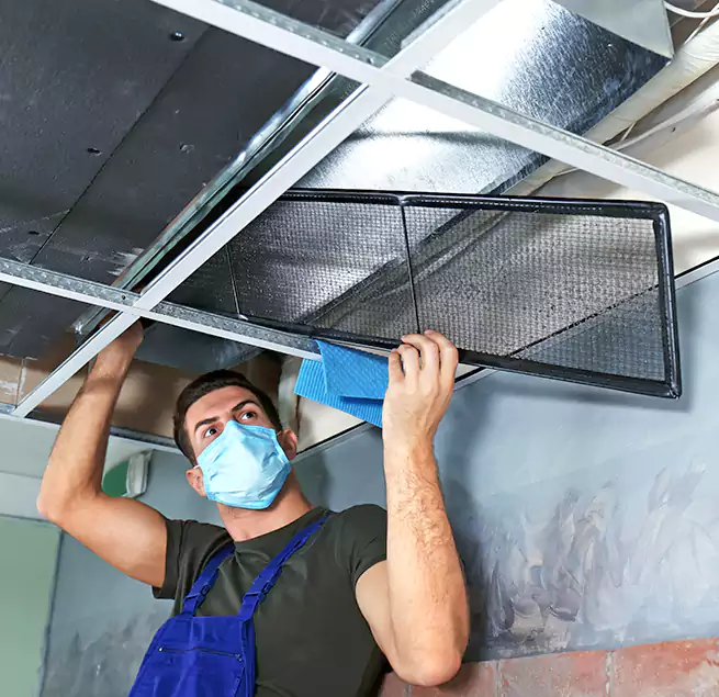 Why Homeowners Businesses Trust Us in Deltona, FL