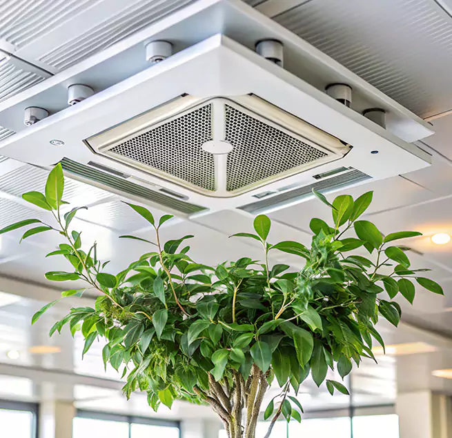 Why Homeowners & Businesses Trust Us in Deltona, FL