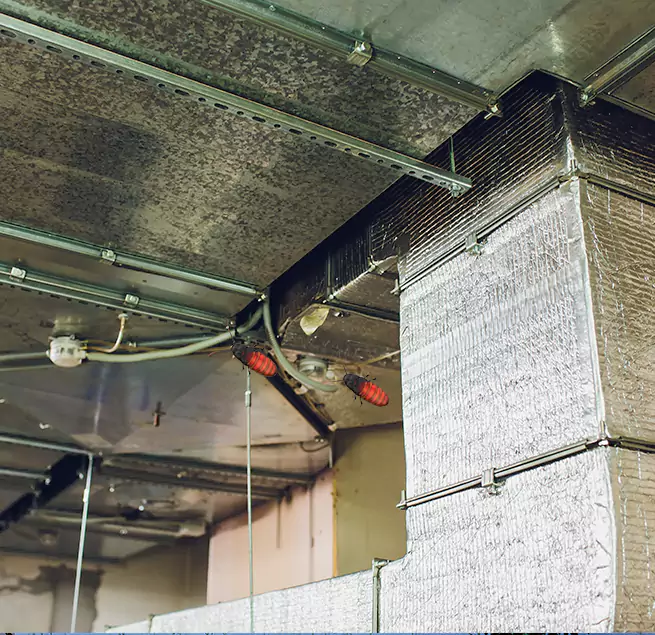 Why Homeowners & Businesses Trust Us Deltona, FL?