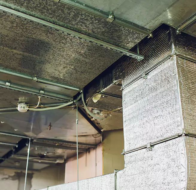 Why Homeowners & Businesses Trust Us in Deltona, FL?